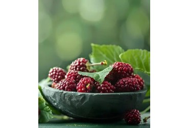 8 Powerful Mulberry Benefits for Immune Support