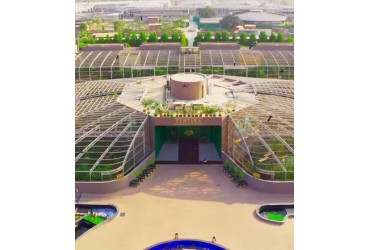 Inside Vantara: Weighing the Benefits and Drawbacks of Wildlife Privatization