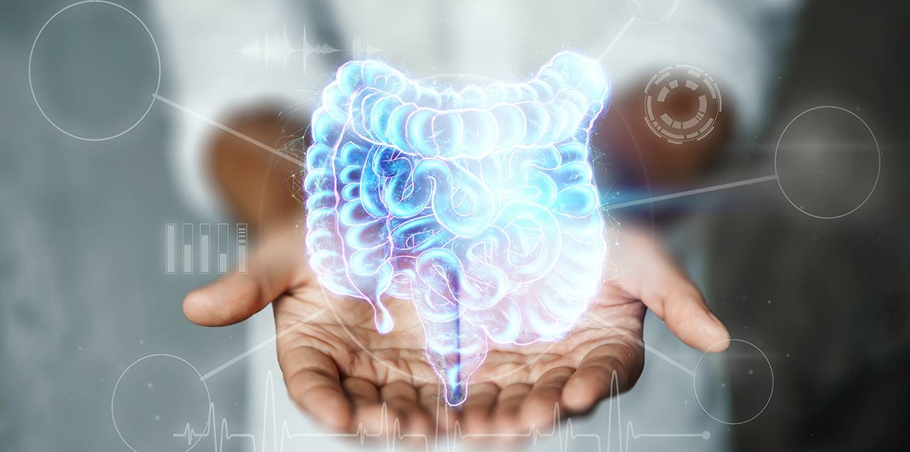 Gut Health: A Key to Overall Wellness