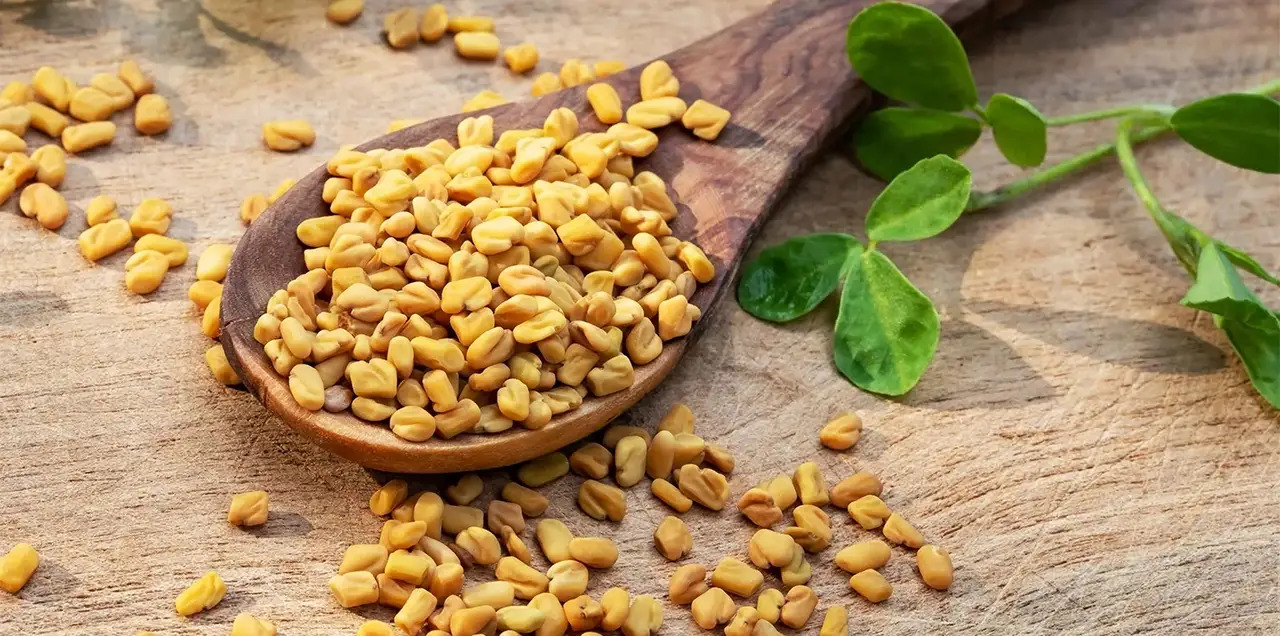 7 Health Benefits of Fenugreek You Should Know