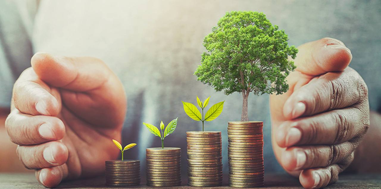 Financial Empowerment: 5 Essential Tips for Women's Financial Success
